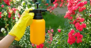Garden Insecticide