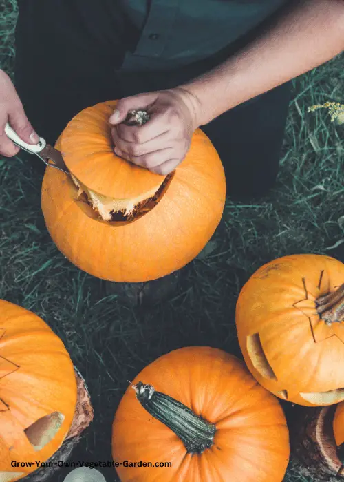 Pumpkin Lid