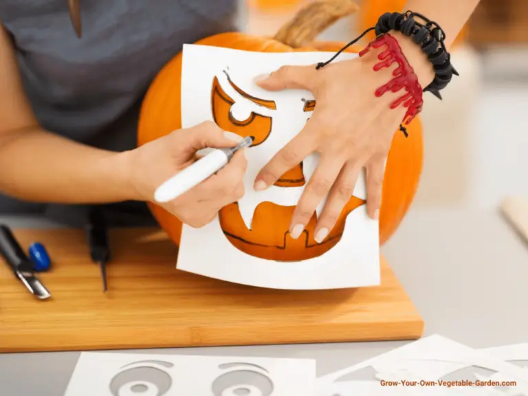 Pumpkin Carving Templates