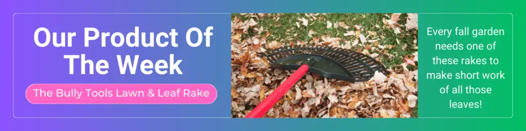 Fall Gardening Rake